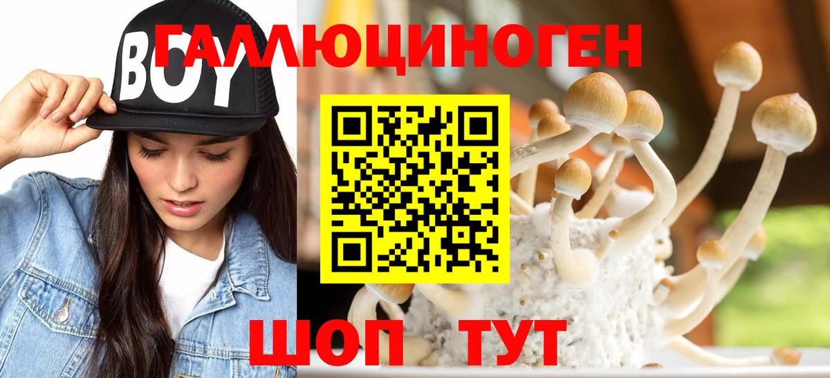 Балтийск  Галлюциногенные грибы Magic Shrooms  Вход с VPN 